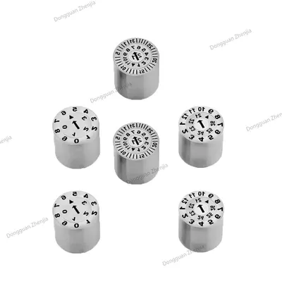 Replaceable Month Year Injection Mold Date Stamp