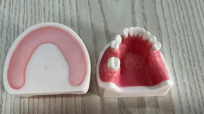 High Quality Dental Implant