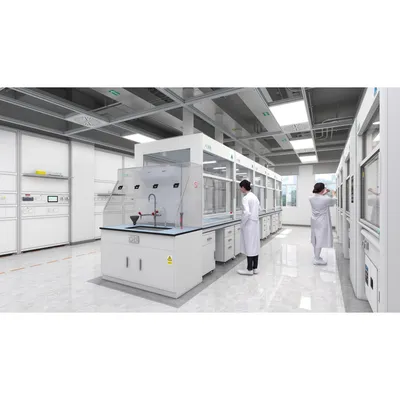 Large Inventory Compliant Corrosion Resistant Lab Fume Hood for Experiment