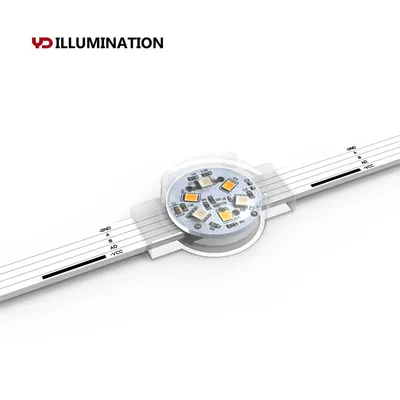 RGB Color Waterproof IP68 Fireproof LED Lightings