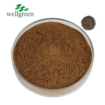 Wellgreen Free Sample Instant Water Soluble Black Tea Extract Instant Black Tea Powder