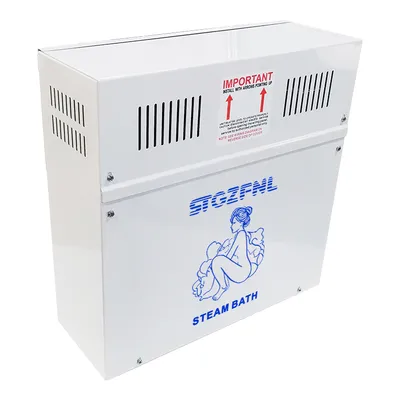 SPA Center Use Sauna Room Electric Mini Steam Generator