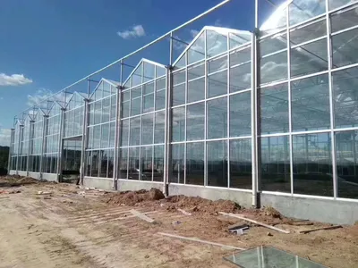 Advanced Large Solar Agricultural Greenhouse Technology Durable Plastic Steel