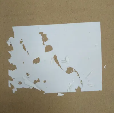 Destructible Label Material Manufacturer Adhesive Egg Label