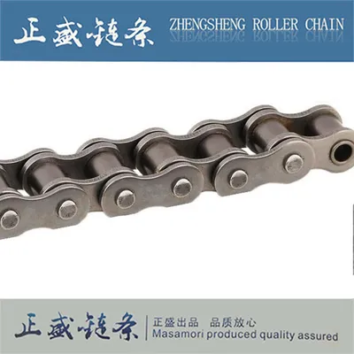 The Standard Short Pitch Drive Conveyor Steel Transmission Roller Chain