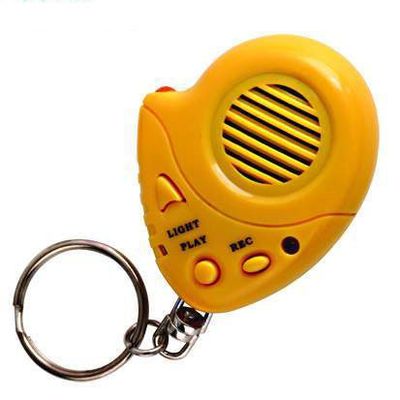 Mini Voice Recorder (DVR-301)