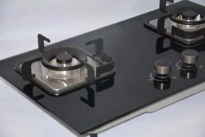 Premium Built-in Glass Gas Stove with Dual Burners