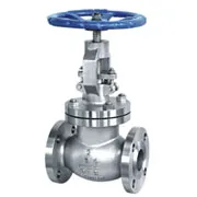 Globe Valve