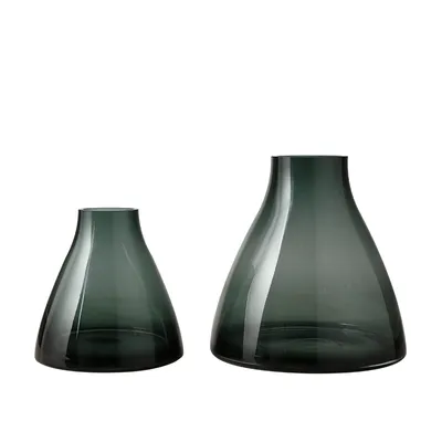 Gardening Plant Cultivation Narrow Mouth Glass Floral Vase Home Decorative Flower Vase