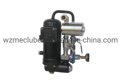 LPG Dispenser Nozzle Pump Meter Swivel Solenoid Differential Valve