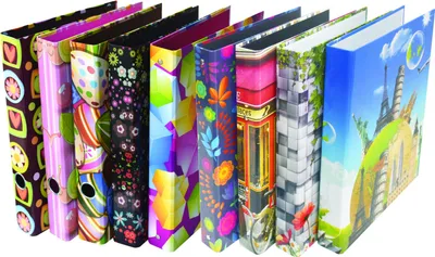 Colorful Printing Art Paper A4 Ring Binder with Lamination
