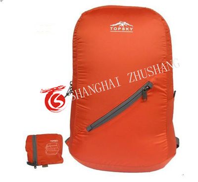Convenient Backpack (ZSCB06)