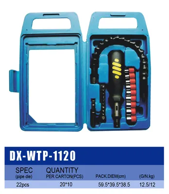 Hot Sale Domestic 22PCS Tools Set (DX-WTP-1120)