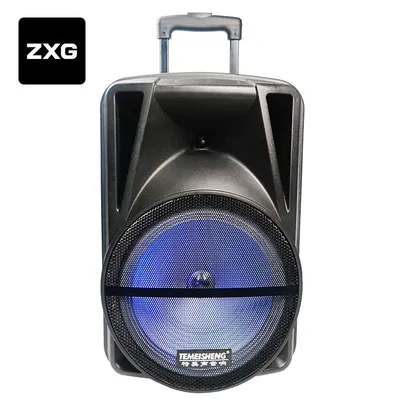 Digital Full Range Portable Powerful Active Trolley 12 Inch Speaker LED Light