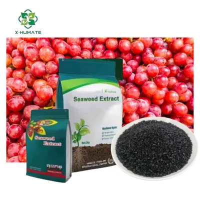 High Organic Matter Alginic Acid Seaweed Extract Fertilizer