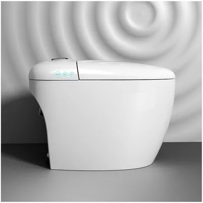 Luxury Electric Smart Toilet Automatic Sensor Flush