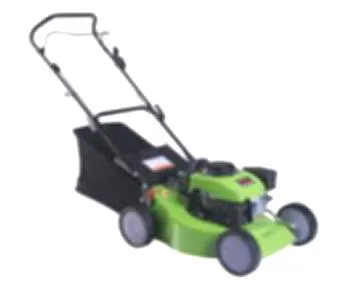 5in1 118cc Self-Propelled 19" Petrol Lawnmower with 60L Collector