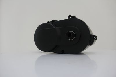 36V 250W E-Bike MID Motor