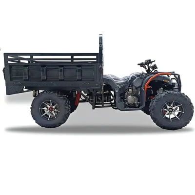 Farm Use ATV 4X4 250cc 300cc Trailer ATV