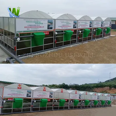 Convert Animal Manure Into Clean Energy with Solar Powered Biogas Digester System