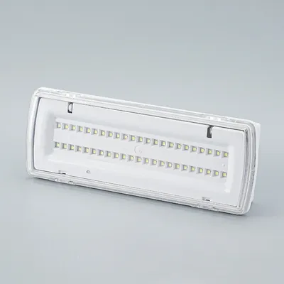 3W Surface/Embedded Wall Mounted Plastic Bulkheads Cover IP65 Maintained and Non-Maintained LED Emergency Lamp
