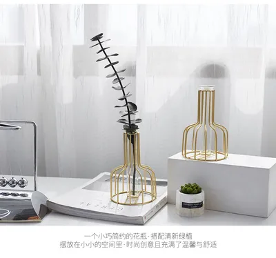 Gold Iron Wire Glass Tube Flower Pots Vase for Home Table Decorations