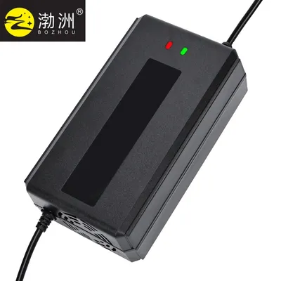 48V30ah Lead Acid Lithium Battery Charger with 1 Year Warranty