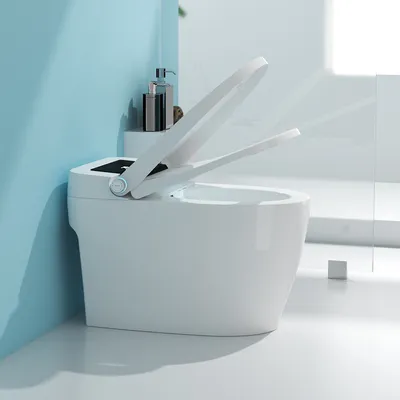 Smart Toilet Floor Mount Back to Wall Toilet