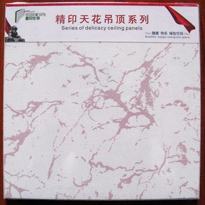 Suspended Ceiling Panel - 3