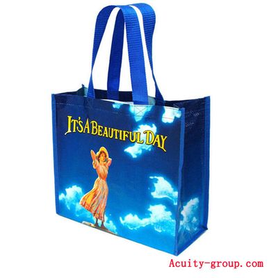 PP Woven Bag (AGP-002)