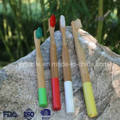 environmental Painting Round Handle Bamboo Toothbrush for Family