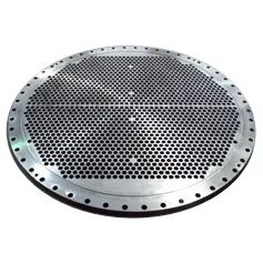 Stainless Steel Tube Sheet /Forge Part/Tube Sheet