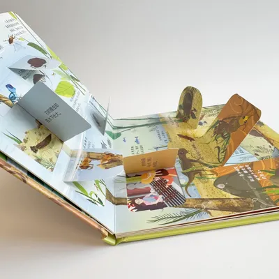 Custom Lift-a-Flap Children Board Book Early Educational Book Printing