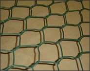 Hexagonal Wire Netting (2)