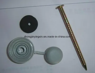 65mm 75mm 90mm 120mm Roofing Screw Nails with Washer
