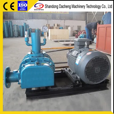 Dsr100V Vacuum Pump for Exhaust Dust Emissions with Ce Certificate