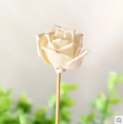 Factory Audited of Selling Dry Sola Flower for Reed Diffuser