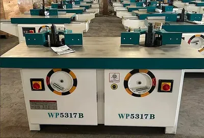 Wp Woodworking Machinery Vertical Double Shaft Spindle Milling Machine Wood Shaper Spindle Moulder Wood Shaper Router Woodworking Milling Machine