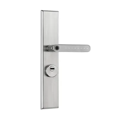 Steel Door 304ss Material Fingerprint Password Smart Lock