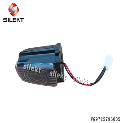 Wg9725796005 Clearance Lights Profile Light Wg9725796008 High Top Indicator Lamp Left Right HOWO Front Clearance Lamp Wg9725796005