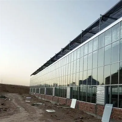 Patterned Intelligent Glass Greenhouse