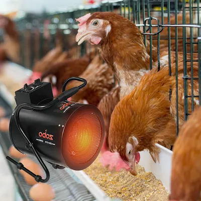 PTC Poultry Industrial Ceramic Electric Brooder Fan Heater Portable for Poultry Farm