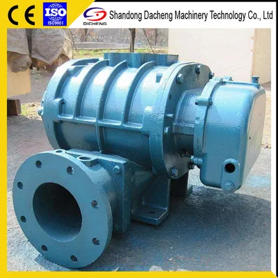 Dsr50 China Manufacturer Low Pressure Roots Air Blowers Price Blower for Sale