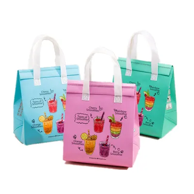 Ultrasonic Cooler Bag