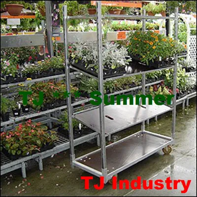 Australian Market Hoticultural Center Flower Plant