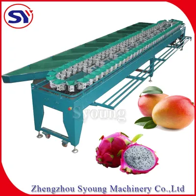 Apple Orange Peach Fruit Weight Sorting Machine Weight Sorter Machine
