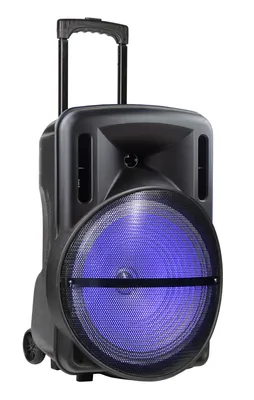 Portable Special Multimedia 50W Loud Blue Tooth Trolley Speaker with Good Sound