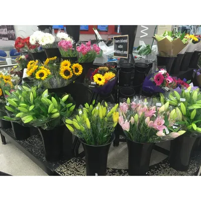 Compostable Flower Package Bouquet Package 100% Bouquet Sleeves