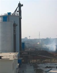 Bucket Elevator