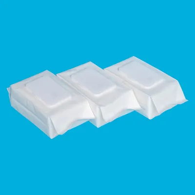 Natural Biodegradable Household Toilet Wipes for Gentle Skin Care and Cleaning